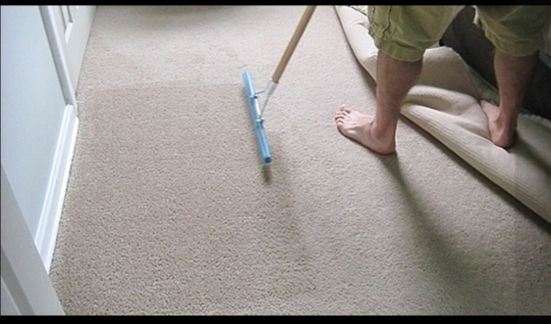 18-inch Carpet Rake – Encapstore